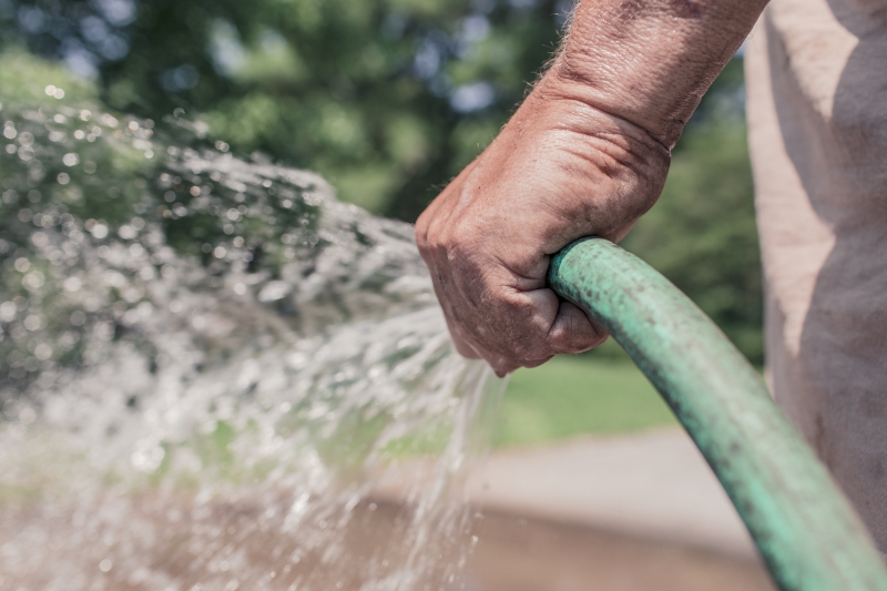 jardinerie-HYERES-min_garden-hose-413684